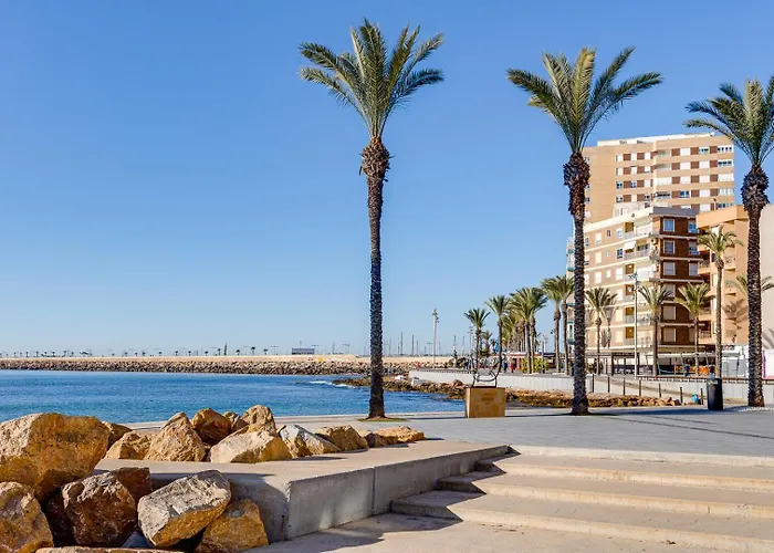 Del Cura * 또레비에하